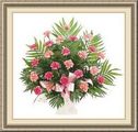 Woodlawn Gardens Florist, 728 Pontiac Ave, Cranston, RI 02910, (401)_467-0170